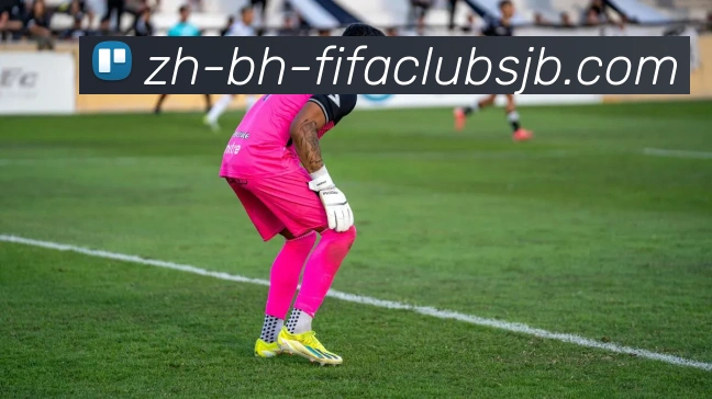 世界杯赛程APP 高清赛事图