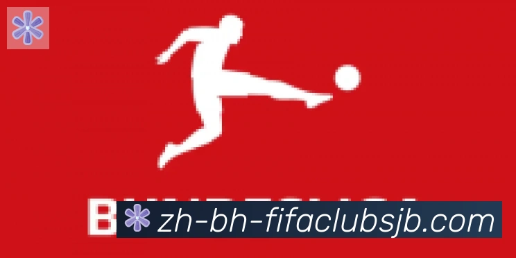 世界杯赛程合作伙伴
