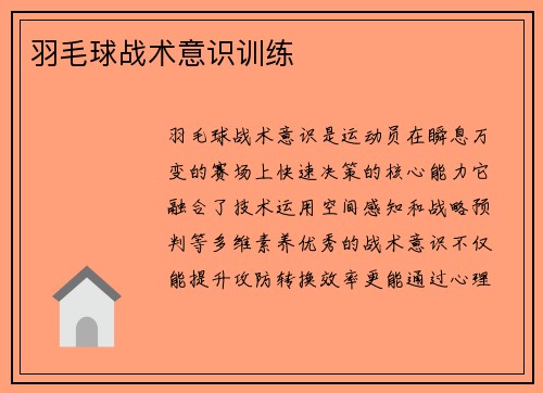 羽毛球战术意识训练